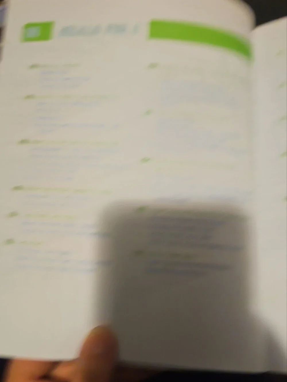 Rachael Ray Cookbook with Green Cover and Blue Title Accents